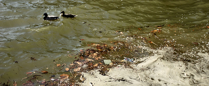 Aquatic Ecosystems and Water Quality <small><em>(photo courtesy of the US EPA)</em></small>